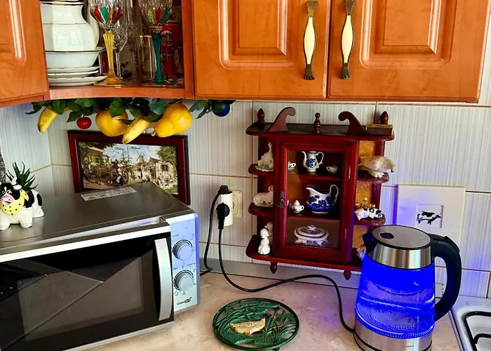 Appartement Old Town Riverside Antique Gallery Self Check-in *